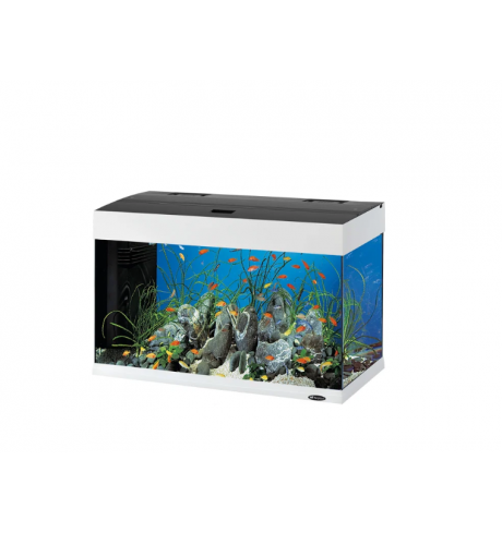 Ferplast Dubai 100 LED baltas akvariumas 190 l su LED apšvietimu, vidiniu filtru ir šildytuvu Ferplast Dubai 100 LED baltas akvariumas 190 l su LED apšvietimu, vidiniu filtru ir šildytuvu